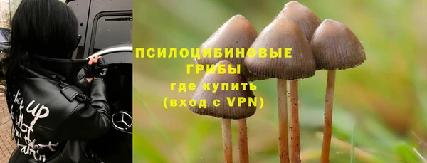крисы Володарск