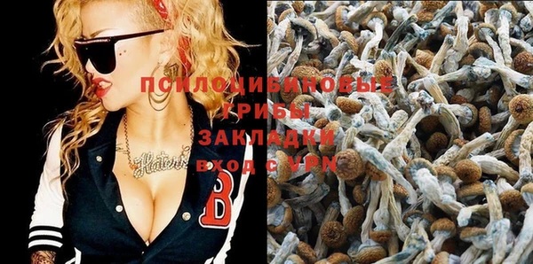 PSILOCYBIN Новокубанск