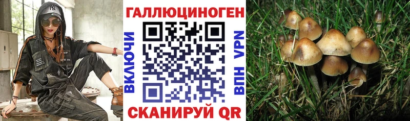 это состав  Великий Новгород  Псилоцибиновые грибы MAGIC MUSHROOMS 