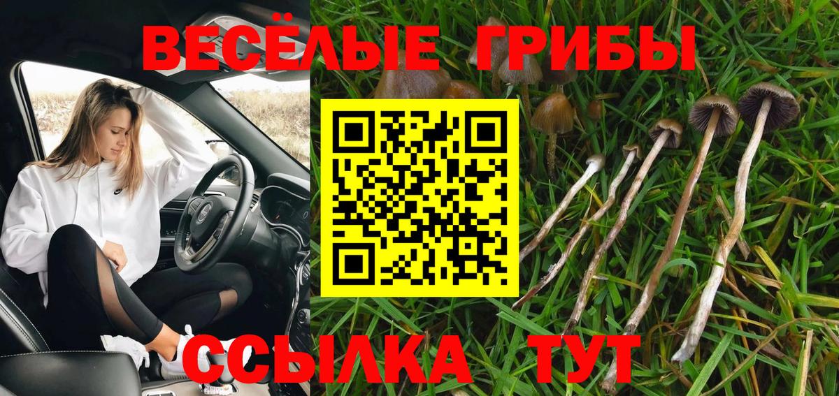 Псилоцибиновые грибы MAGIC MUSHROOMS Великий Новгород