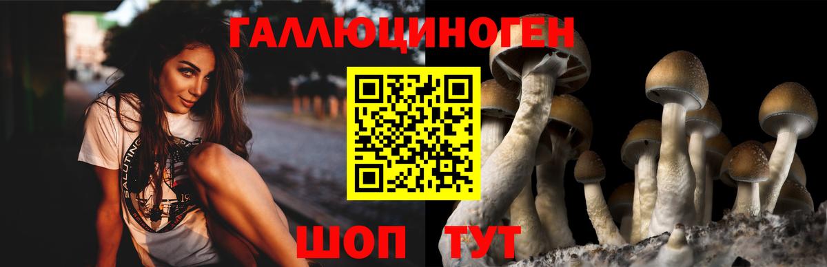 Великий Новгород  Псилоцибиновые грибы Cubensis  Вход с VPN  Псилоцибиновые грибы мицелий 